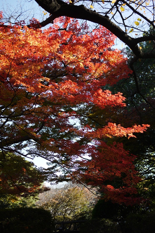 a0127090_2124381.jpg