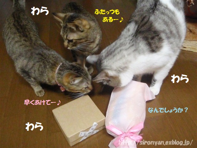 a0159490_1553121.jpg