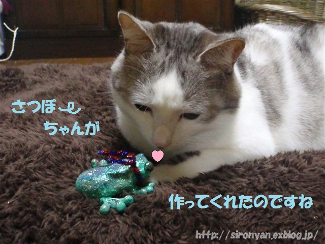 a0159490_15535576.jpg