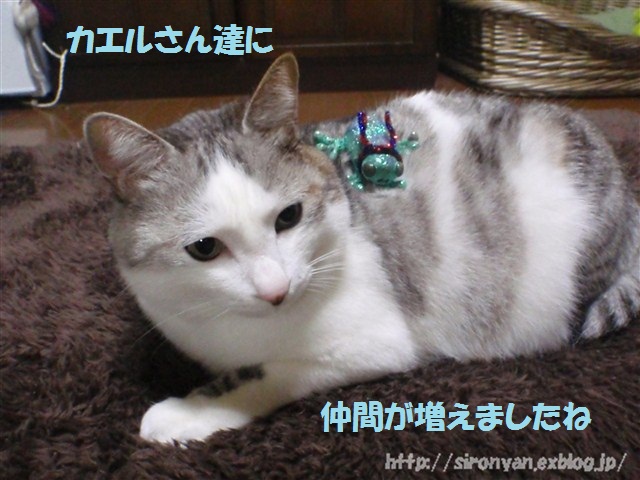 a0159490_15542132.jpg