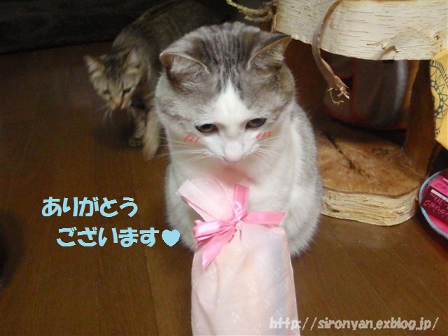a0159490_15542739.jpg