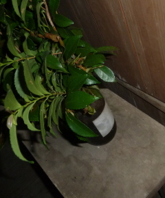 f0166694_18105117.jpg