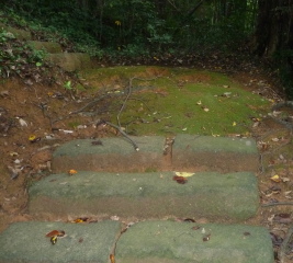 f0166694_18215450.jpg