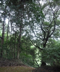 f0166694_18243339.jpg