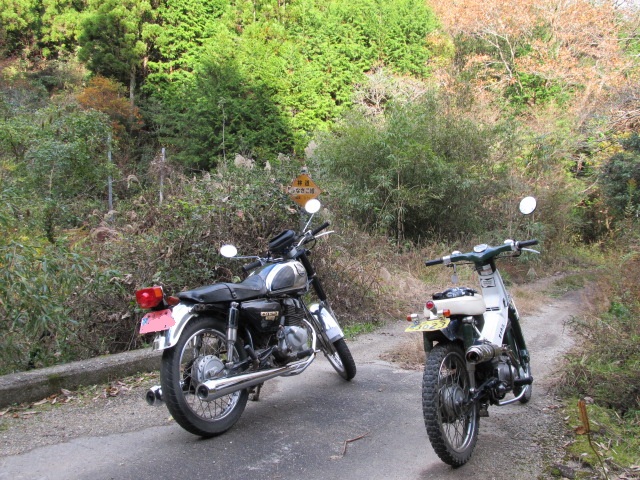 e0157602_1828891.jpg