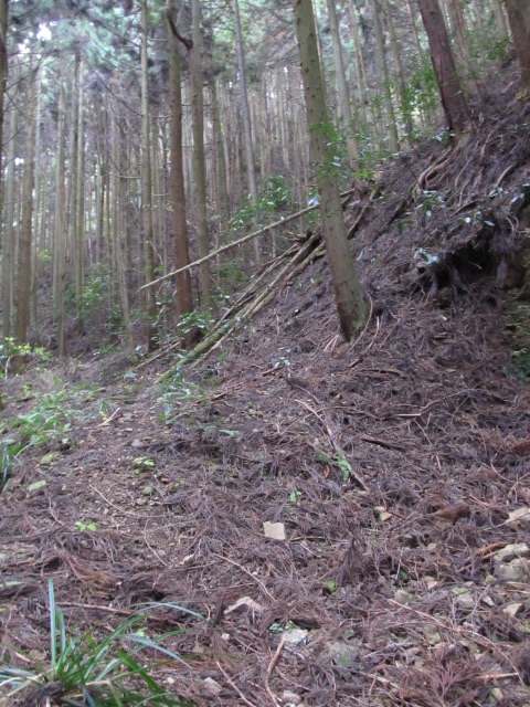 e0157602_18293822.jpg