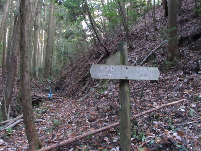 e0157602_18304244.jpg