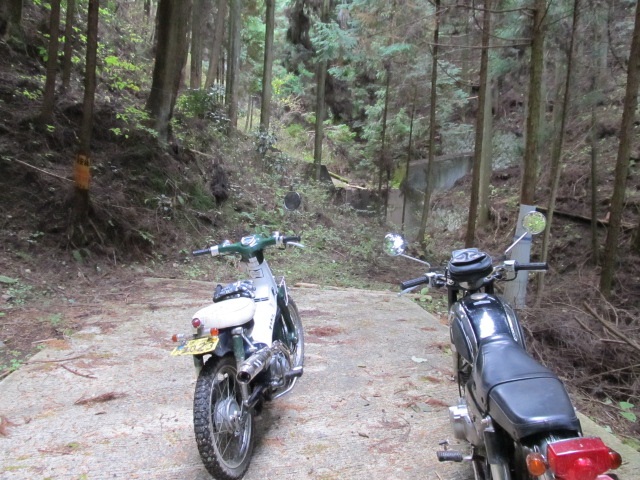 e0157602_1830877.jpg