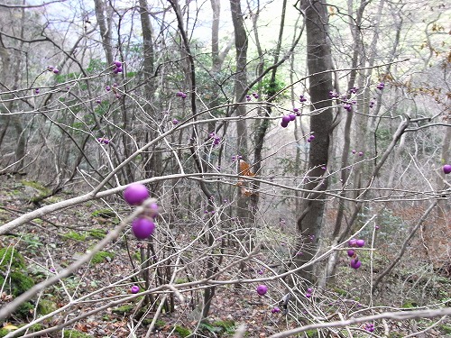 f0187402_18491664.jpg