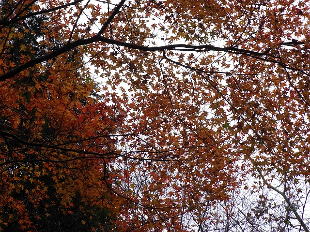 f0187402_18492830.jpg