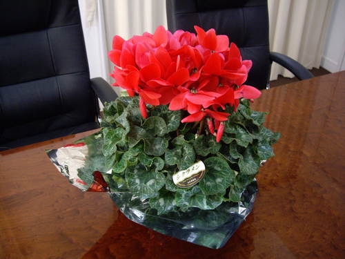 d0054704_1202738.jpg