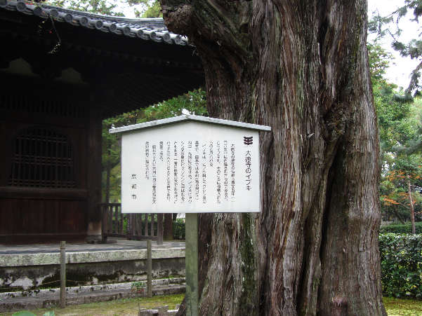 d0154609_10385897.jpg