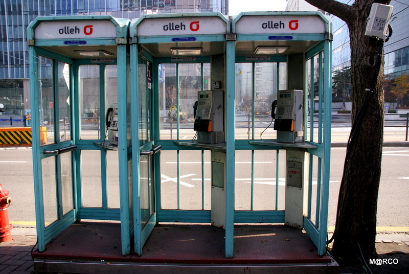 c0037611_2056276.jpg