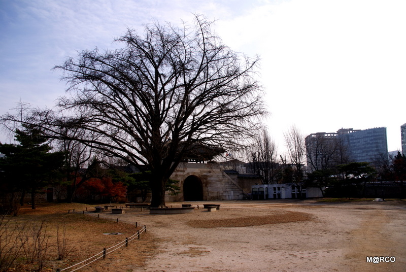 c0037611_21212863.jpg