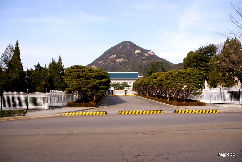 c0037611_21222631.jpg