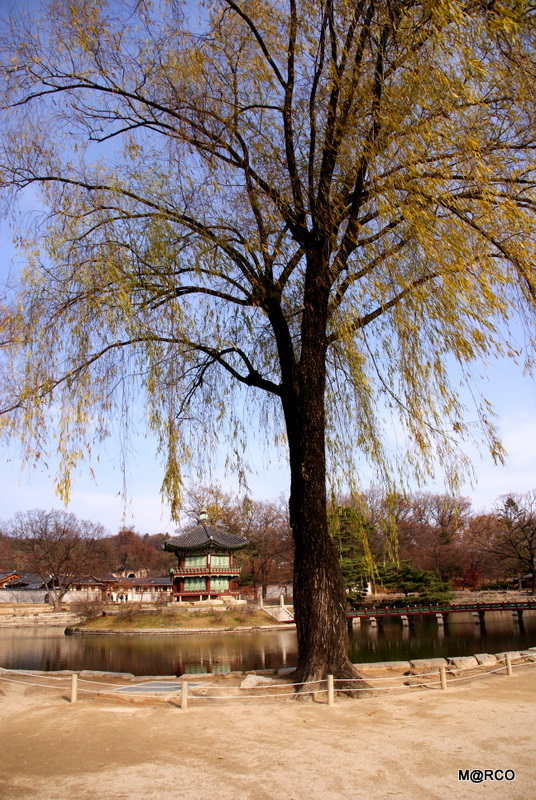 c0037611_212611.jpg