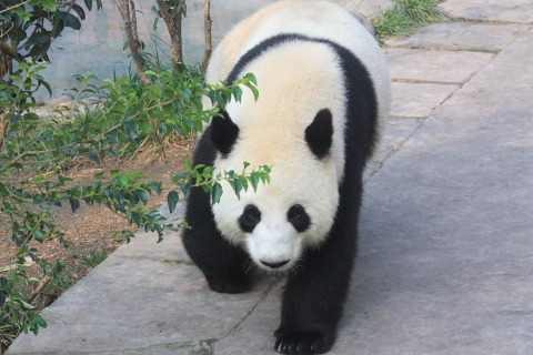 d0077811_23415938.jpg