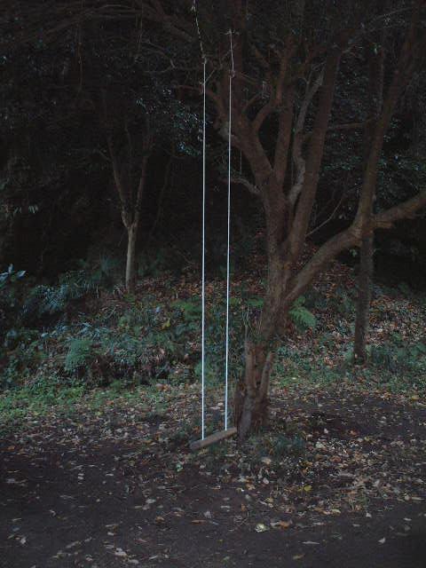 b0096418_0532417.jpg