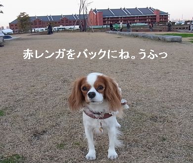 f0214121_22341315.jpg