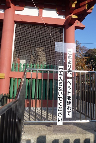 e0203322_2233650.jpg