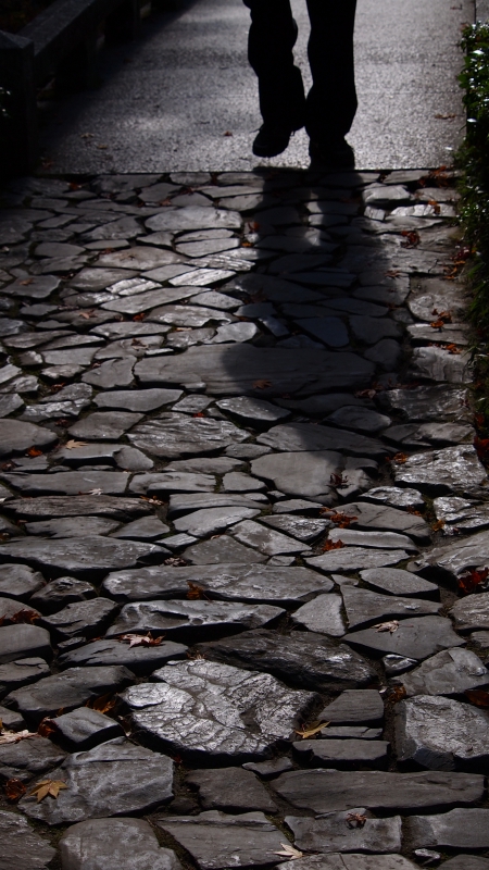 d0252924_152486.jpg