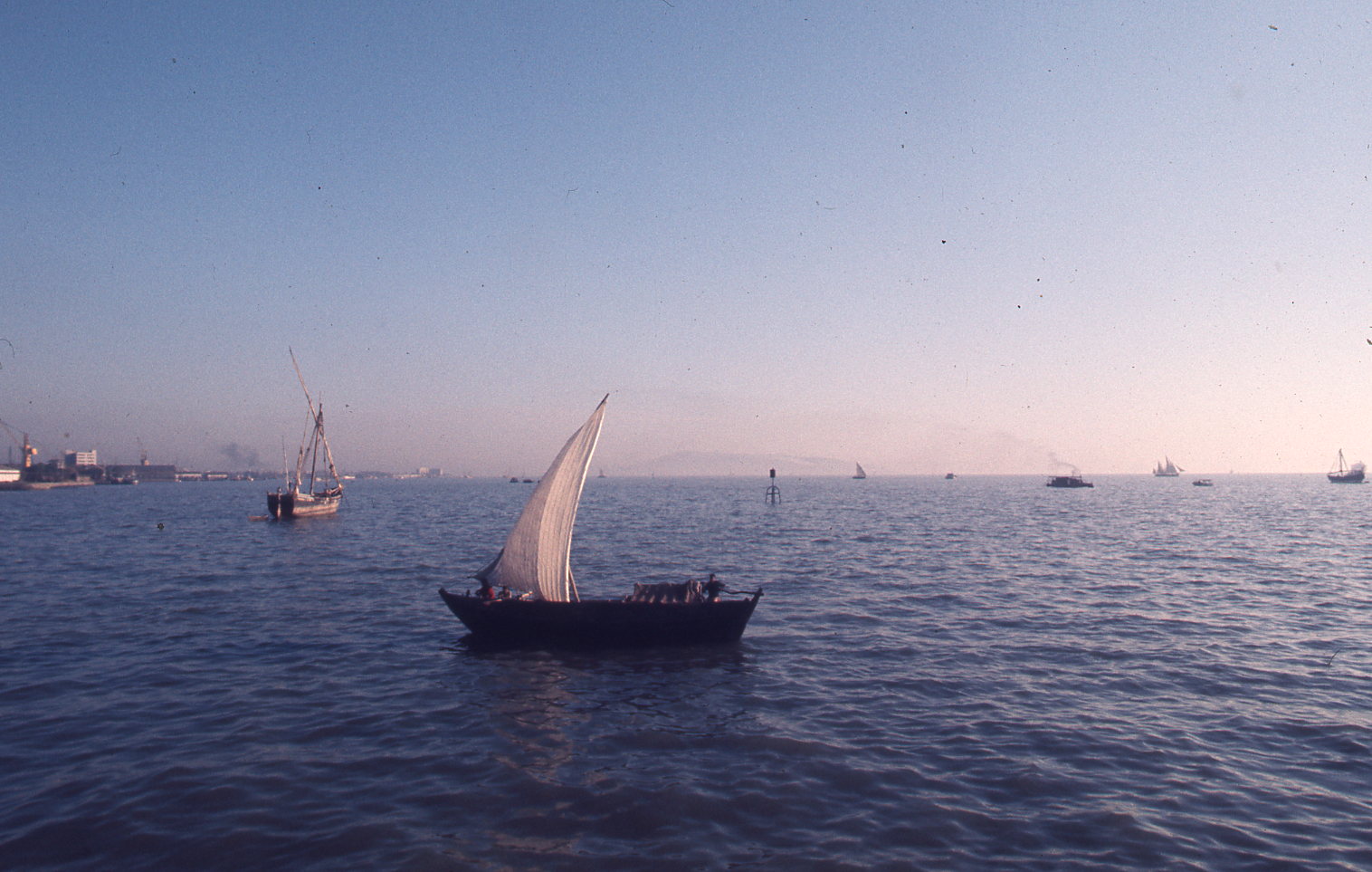 e0228025_157144.jpg