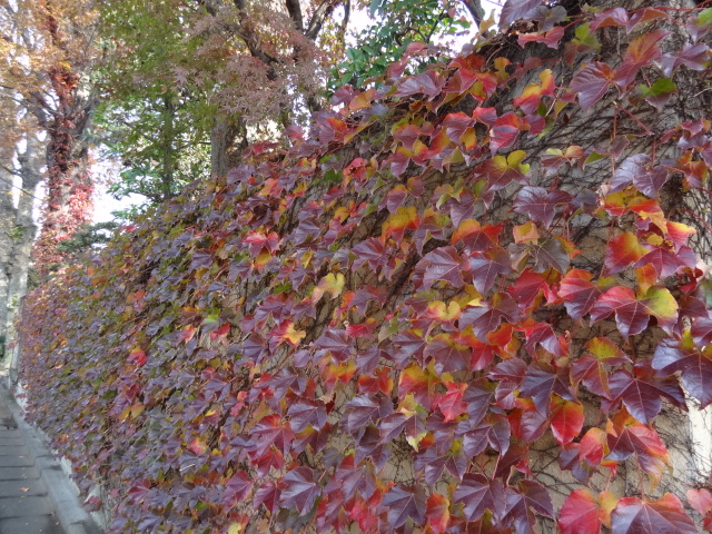 e0016828_12251510.jpg