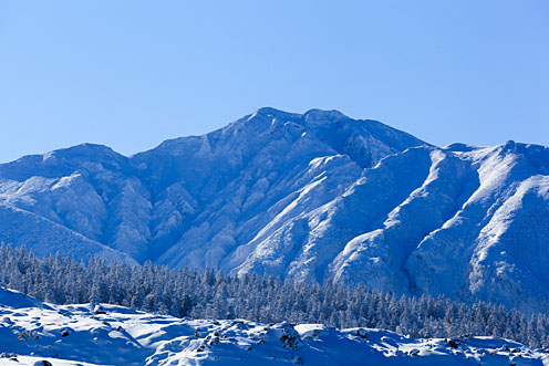 e0025030_9471427.jpg