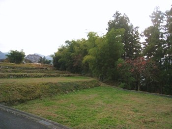 c0134734_254717.jpg
