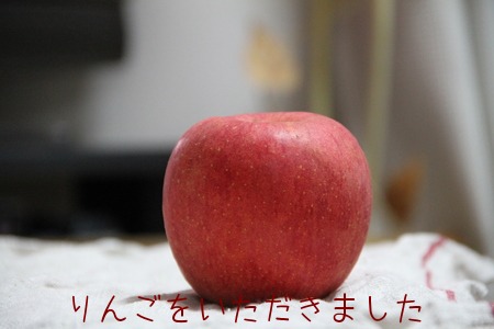 a0105740_964998.jpg