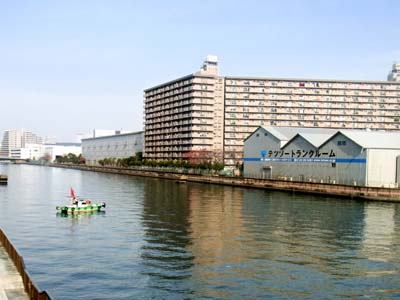 b0019140_1529469.jpg