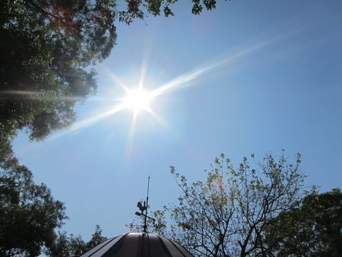e0018143_033217.jpg