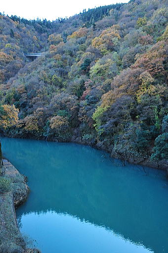 f0094843_1801685.jpg