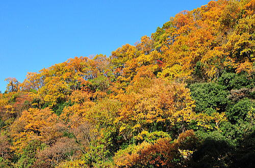 f0094843_1805699.jpg