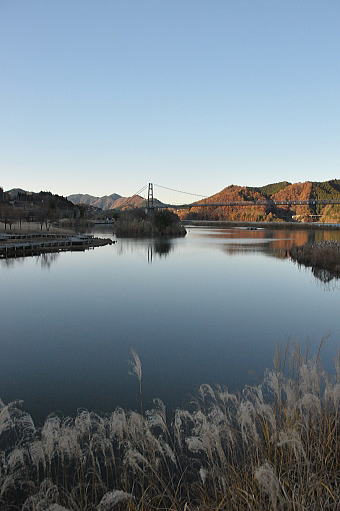 f0094843_1875896.jpg