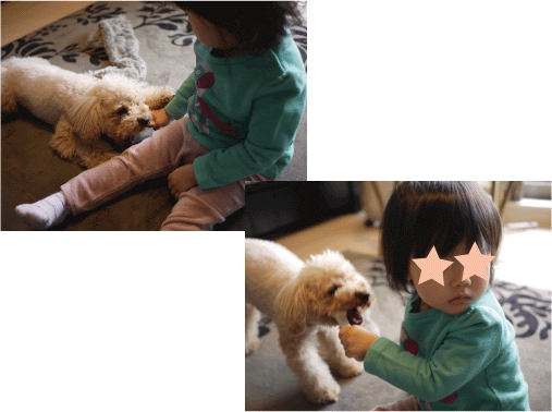 b0182846_13482229.gif