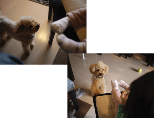 b0182846_13485732.gif