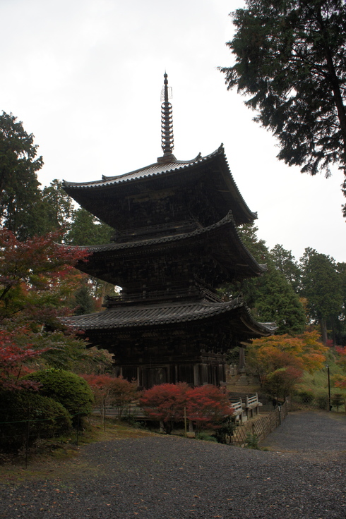 c0190847_19102814.jpg
