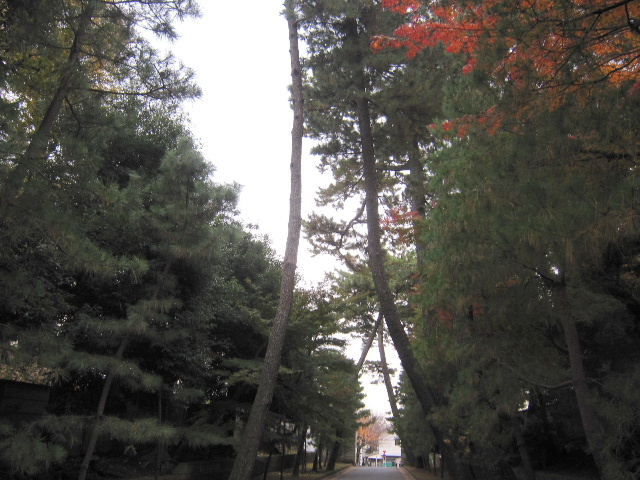d0063149_17534626.jpg