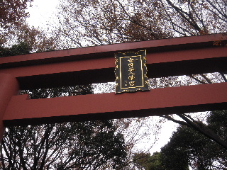 d0063149_18335058.jpg
