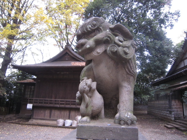 d0063149_18364129.jpg