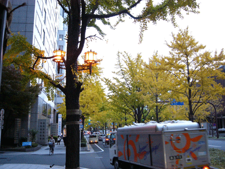 c0225153_21452634.gif