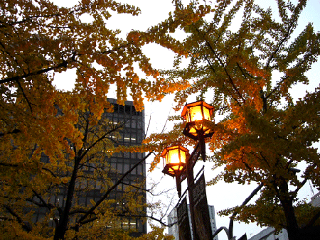 c0225153_21454675.gif