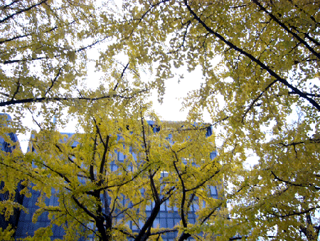 c0225153_2145678.gif