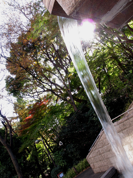 f0225953_23113058.jpg