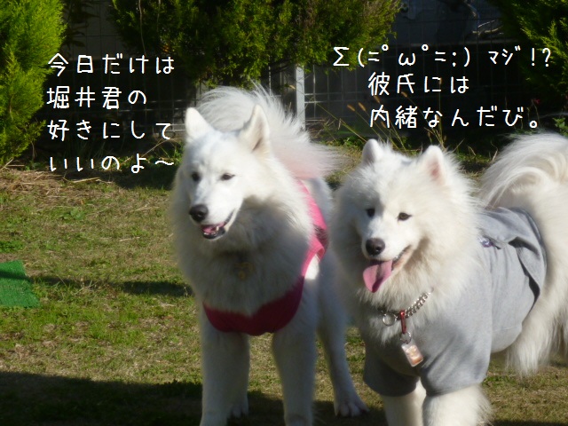 a0166954_015024.jpg