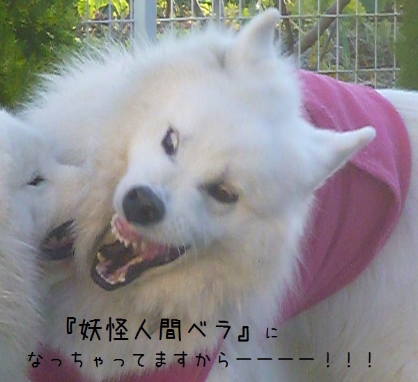 a0166954_0314680.jpg