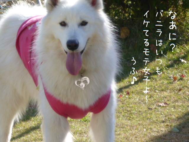 a0166954_0362510.jpg