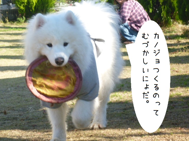 a0166954_0531552.jpg