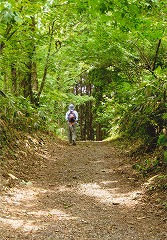 c0208355_14341634.jpg